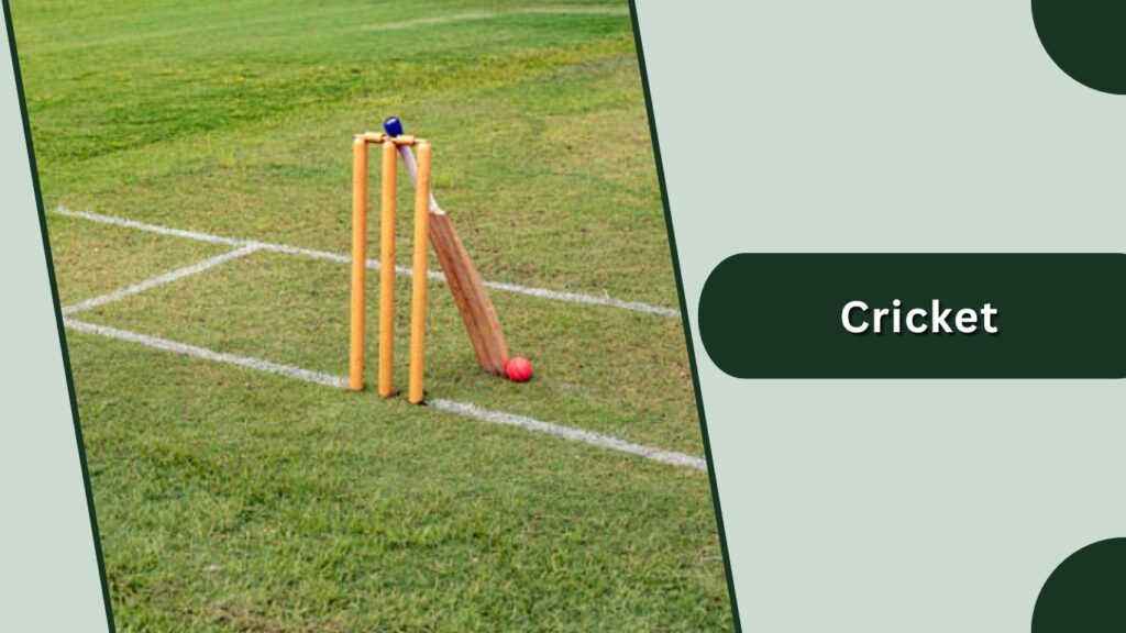 Cricket
