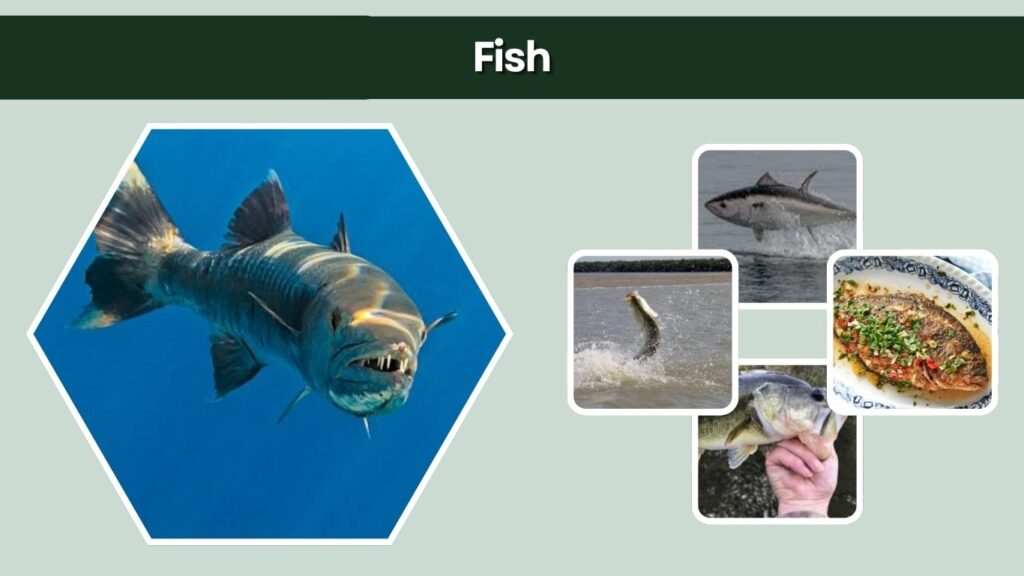 Fish
