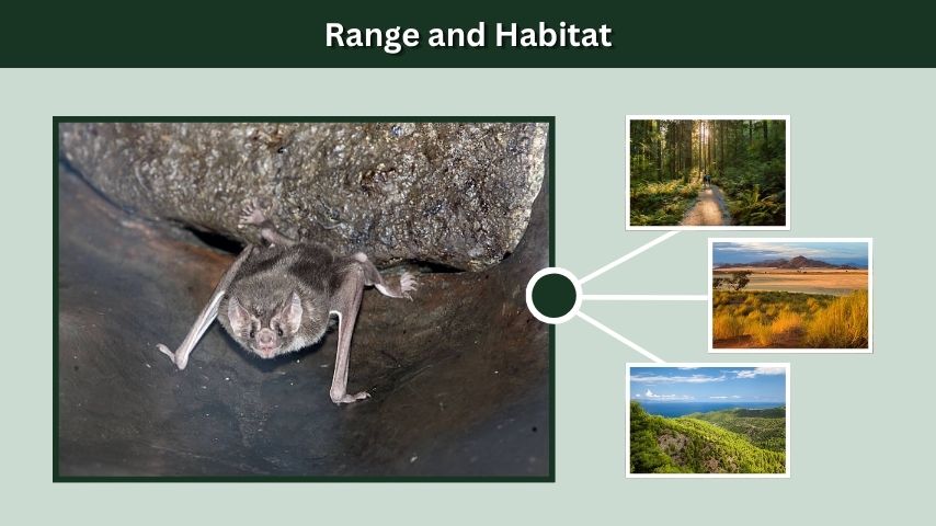 Range and Habitat