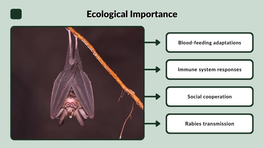 Ecological Importance
