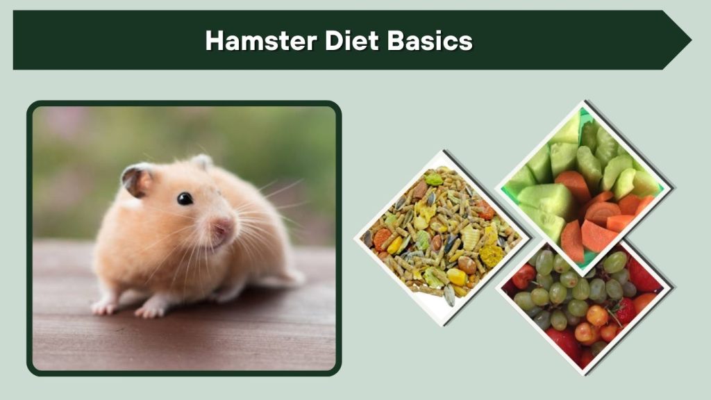 Hamster Diet Basics