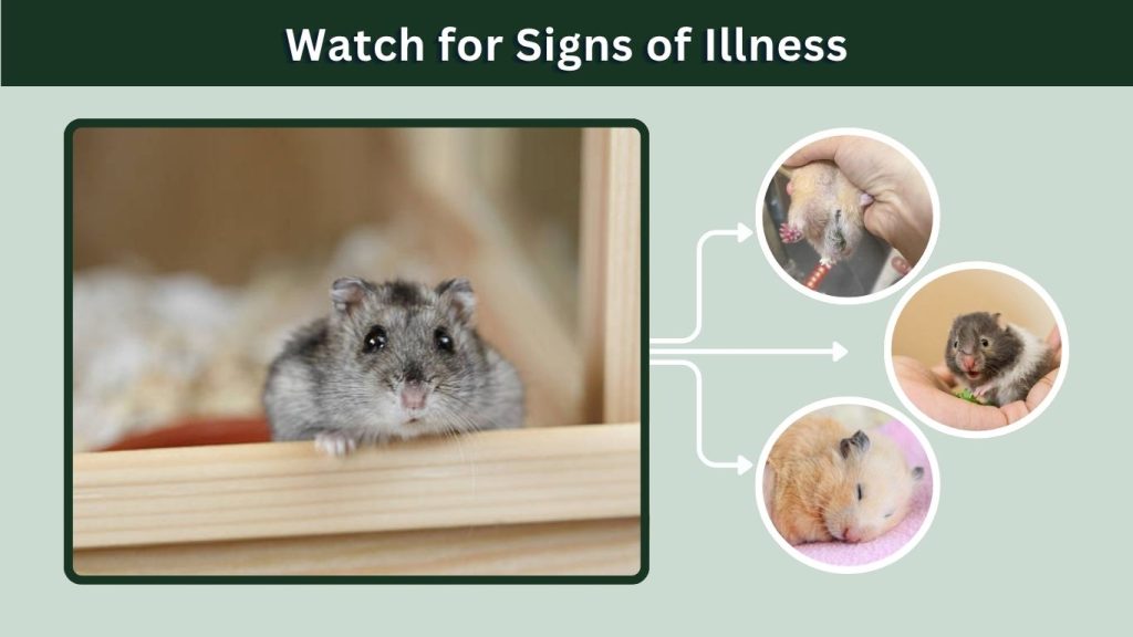 Watch for Signs of Illness