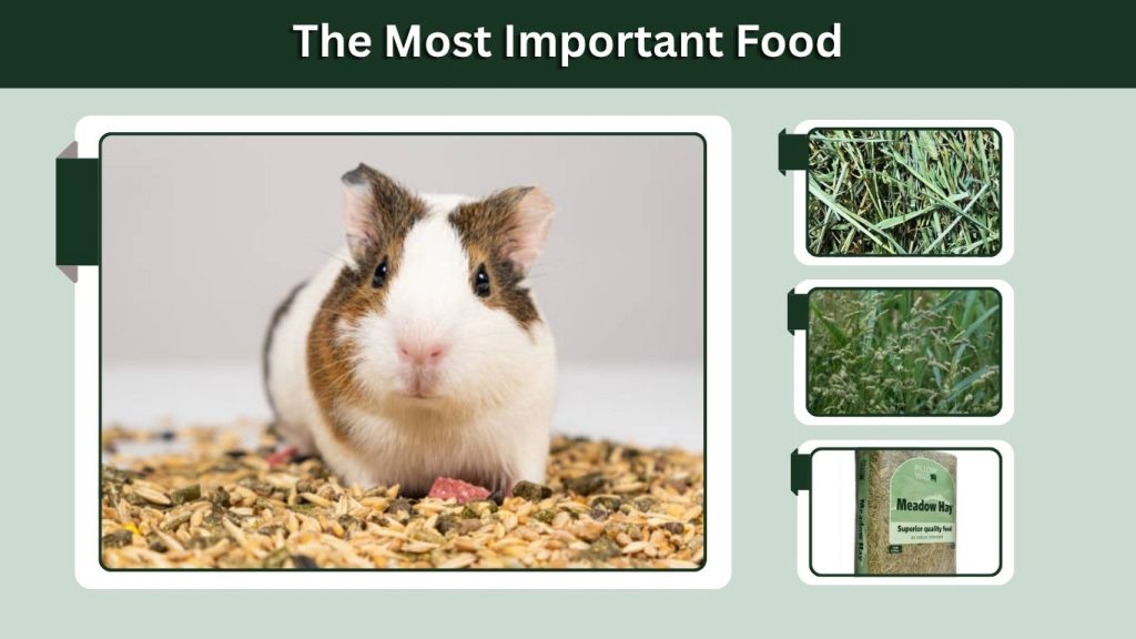 The Most Important Food