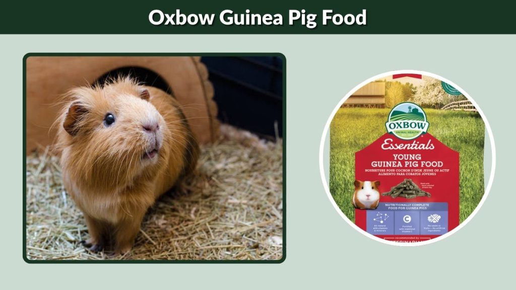 Oxbow Guinea Pig Food