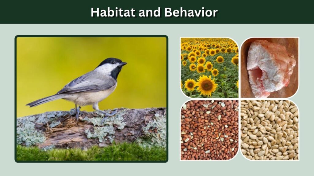 Habitat and Behavior